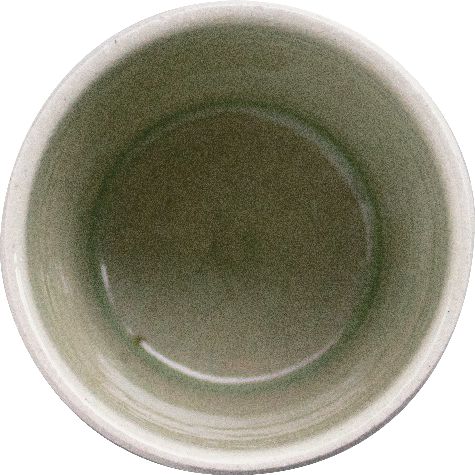 saboten-TALL/WHITE真上