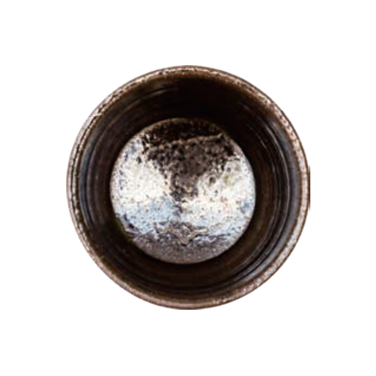 TALL / 芽生え (SPROUT)