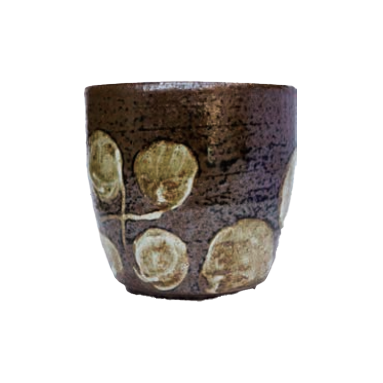 TALL / 芽生え (SPROUT）